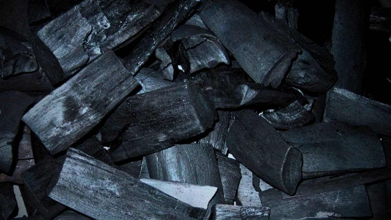 imagens-waventech. 720p carvao vegetal beneficios