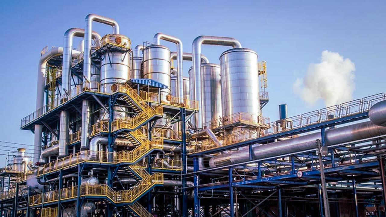 imagens-waventech-bio-oleo-cane